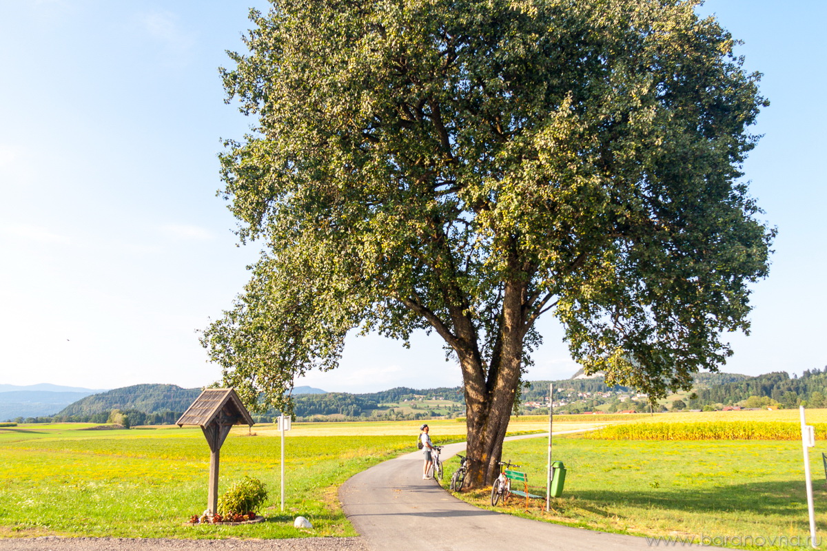Suetschach